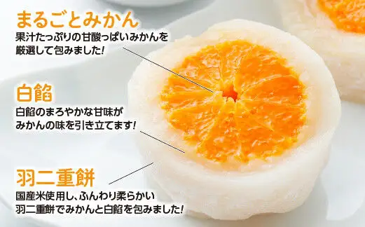 みかん丸ごと1個入った甘仙堂のみかん大福 10個入 大福 和菓子 スイーツ