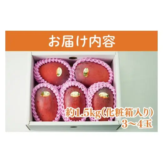 菜々色畑の赤秀アーウィンマンゴー 3～4玉(約1.5kg)【化粧箱】