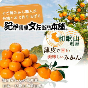 V7437_【2026年先行予約】ブランド有田みかん【Ｓ】秀品5kg 薄皮で甘い美味しいみかん（お届け日指定不可）