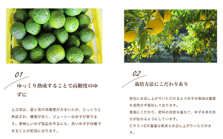 楽しみ方いろいろ! 「ゆずの里上之保」 ゆずちゃ　3個 お湯割り ソーダ割り ジャムとしても使える ～栽培期間中農薬不使用の上之保産柚子を使用 自家栽培 ゆず茶 国産 柚子 ユズ フルーツ 果物 常温 くだもの 飲み物 ドリンク 果肉 果汁 グルメ