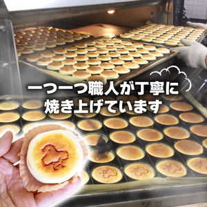 アルザス 選べる 千鳥ショコラ 6個 冷凍 ガトーショコラ チョコケーキ 愛知県 南知多町