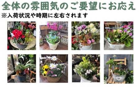 花屋が贈る季節の寄せ植え鉢 花 プレゼント 岩手県 北上市 C0230 （ パルテール ) 花 観賞用 アレンジ プレゼント ギフト 誕生日 お祝い クリスマス 卒業 入学 バレンタインデー ホワイトデー 贈答 父の日 敬老の日 感謝 退院 快気祝い プロポーズ ご褒美 生花 季節の花 赤 白 黄色 ピンク オレンジ 青 紫 寄せ植え 鉢植え ガーデニング 庭 玄関 リビング 部屋 客間 オフィス 開店祝い 周年祝い 退職祝い 就職祝い 還暦 成人 記念日 花