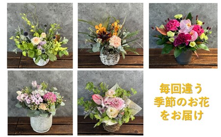 【定期便/6ヶ月】季節のフラワーアレンジメントＡ 岩手県 北上市 J0048  （ パルテール )  花 観賞用 アレンジ プレゼント ギフト 誕生日 お祝い クリスマス 卒業 入学 バレンタインデー ホワイトデー 贈答 母の日 父の日 敬老の日 感謝 退院 快気祝い プロポーズ ご褒美 生花 季節の花 赤 白 黄色 ピンク オレンジ 青 紫 寄せ植え 鉢植え ガーデニング 庭 玄関 リビング 部屋 客間 オフィス 開店祝い 周年祝い 退職祝い 就職祝い 還暦 成人 記念日 花 