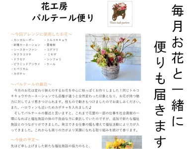 【定期便/3ヶ月】季節のフラワーアレンジメントプレミアム 岩手県 北上市 J0049  （ パルテール )  花 観賞用 アレンジ プレゼント ギフト 誕生日 お祝い クリスマス 卒業 入学 バレンタインデー ホワイトデー 贈答 母の日 父の日 敬老の日 感謝 退院 快気祝い プロポーズ ご褒美 生花 季節の花 赤 白 黄色 ピンク オレンジ 青 紫 寄せ植え 鉢植え ガーデニング 庭 玄関 リビング 部屋 客間 オフィス 開店祝い 周年祝い 退職祝い 就職祝い 還暦 成人 記念日 花 