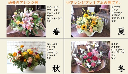 【定期便12ヶ月】季節のフラワーアレンジメントプレミアム Q0042 花束