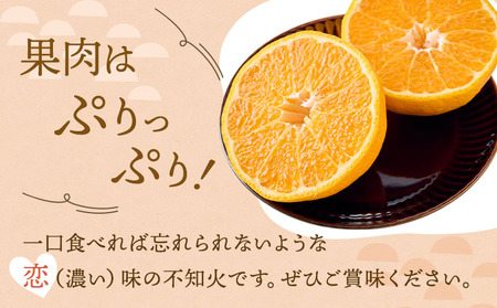  訳あり 不知火 恋する不知火 約2kg 【2026年4月上旬から2026年7月中旬発送予定】 御舩果樹園 