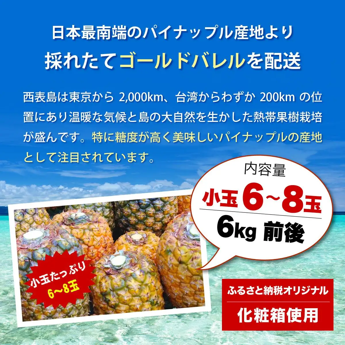 ゴールドバレルたっぷり小玉セット