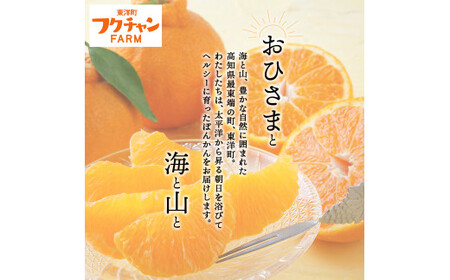 F139【先行予約】ヘルシーぽんかん10kg　柑橘　ジューシー