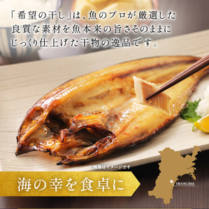 厳選 干物 セット 希望の干し A セット 5枚