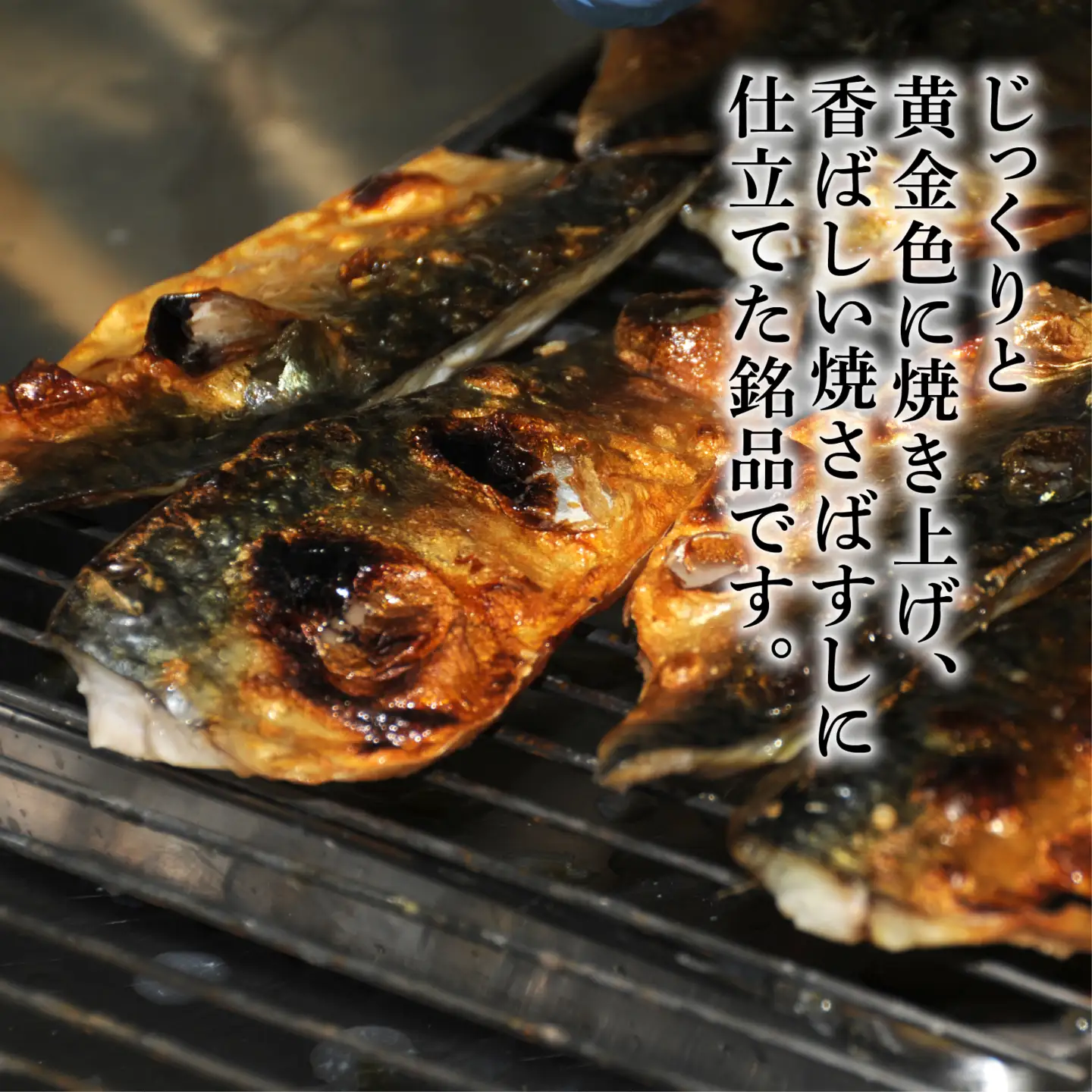 【 鯖寿司 】焼さばすし 2本 16貫 さばすし