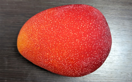 2026年発送【TROPICAL FIELD モリ之ナカ】贈答用マンゴー約2kg（4～6玉） フルーツ 果物 期間限定 数量限定 先行予約 南国 プレゼント お土産 おみやげ ギフト くだもの 沖縄 おきなわ 青果 デザート おすすめ 人気 冷蔵 夏 スイーツ