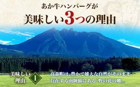 あか牛ハンバーグ 130g×10個 （ソース無し） くまもとあか牛 ハンバーグ はんばーぐ 牛肉 牛 おかず 惣菜 冷凍