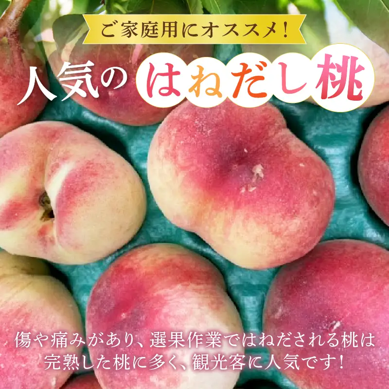 訳ありの桃《大容量》約3kg【2026年発送】（MG）A08-470 桃 フルーツ