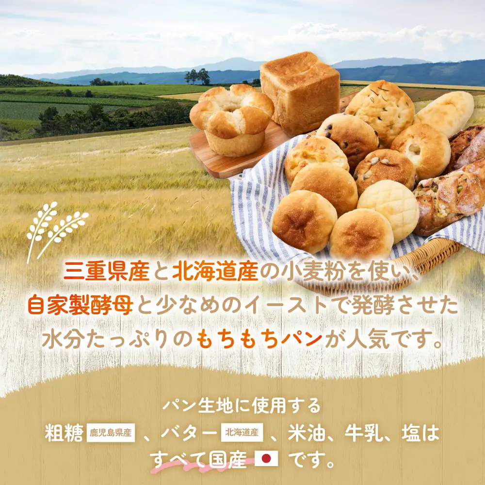 店主気まぐれ「パン」の詰め合わせセット 計10種類以上 国産小麦 国産 自家製酵母 パン詰め合わせ 三重県 多気町 NT-01