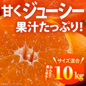 AB7300_ 【2026年先行予約】ご家庭用 田村みかん サイズ混合(2S～２L) 約10kg わけあり 訳あり 不揃い 和歌山プレミアムブランドみかん 小玉 中玉 大玉 蜜柑 ミカン フルーツ 果物
