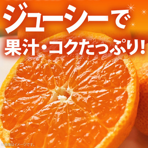AB7307_【2026年先行予約】プレミアムブランド 田村みかん Mサイズ 秀品 約5kg  和歌山県産 蜜柑 ミカン フルーツ 果物 ギフト お歳暮 完熟