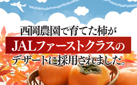 大人気！ リピーター多数！ たねなし柿 約 5kg 箱 （18～24個入） | 西岡農園