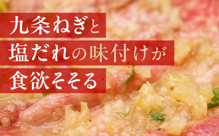 牛タン ねぎ塩牛タン 480g 9-018