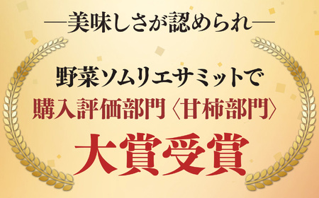 富有柿 約3.5kg （11～13個）|果物 柿 西岡農園