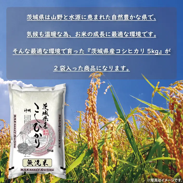 【令和7年産】無洗米茨城コシヒカリ5kg×2（LL-6）