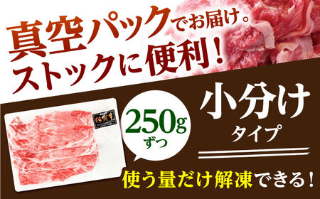 【全6回定期便】佐賀牛 A5 切り落とし 1kg（250g×4パック）  [HAD154] 切り落とし