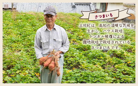 【８月発送開始】さつまいも（土佐紅）5kg - サツマイモ さつま芋 野菜 焼き芋 やきいも 焼いも おやつ スイーツ スイートポテト バター焼き アレンジ 料理 国産 高知県 香南市 yr-0045