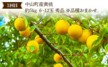 2026年8月発送開始 先行受付 山形県 至高のフルーツ！ 山形県中山町厳選フルーツ定期便 全3回 桃 シャインマスカット ラ・フランス 山形県 中山町 F4A-0479