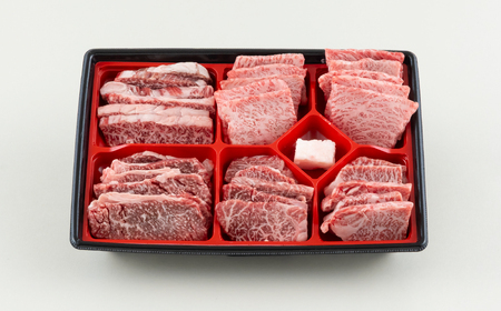 長崎和牛5種焼肉セット500g
