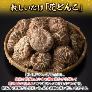 乾しいたけ 「花どんこ」(145g) どんこ きのこ 椎茸 大分県産 【opst004】【大分県椎茸農業協同組合】