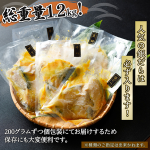 訳あり 西京漬け 1.2kg 6種セット (銀ダラ ＋その他5種) | 西京漬け 西京漬け 西京漬け 西京漬け 西京漬け 西京漬け 西京漬け【AIS014】