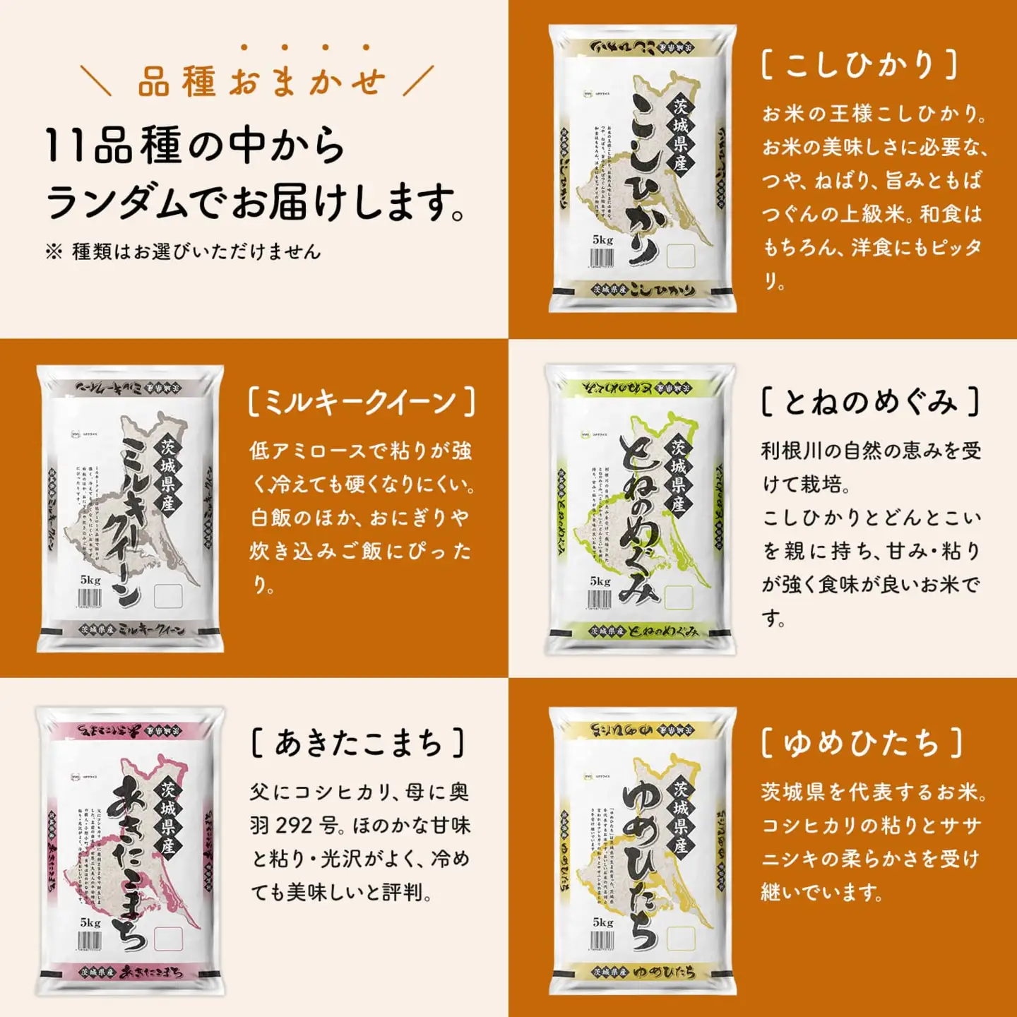 白米 2種食べ比べ 10kg 令和8年6月内発送 茨城県産 令和7年産 精米 K2457