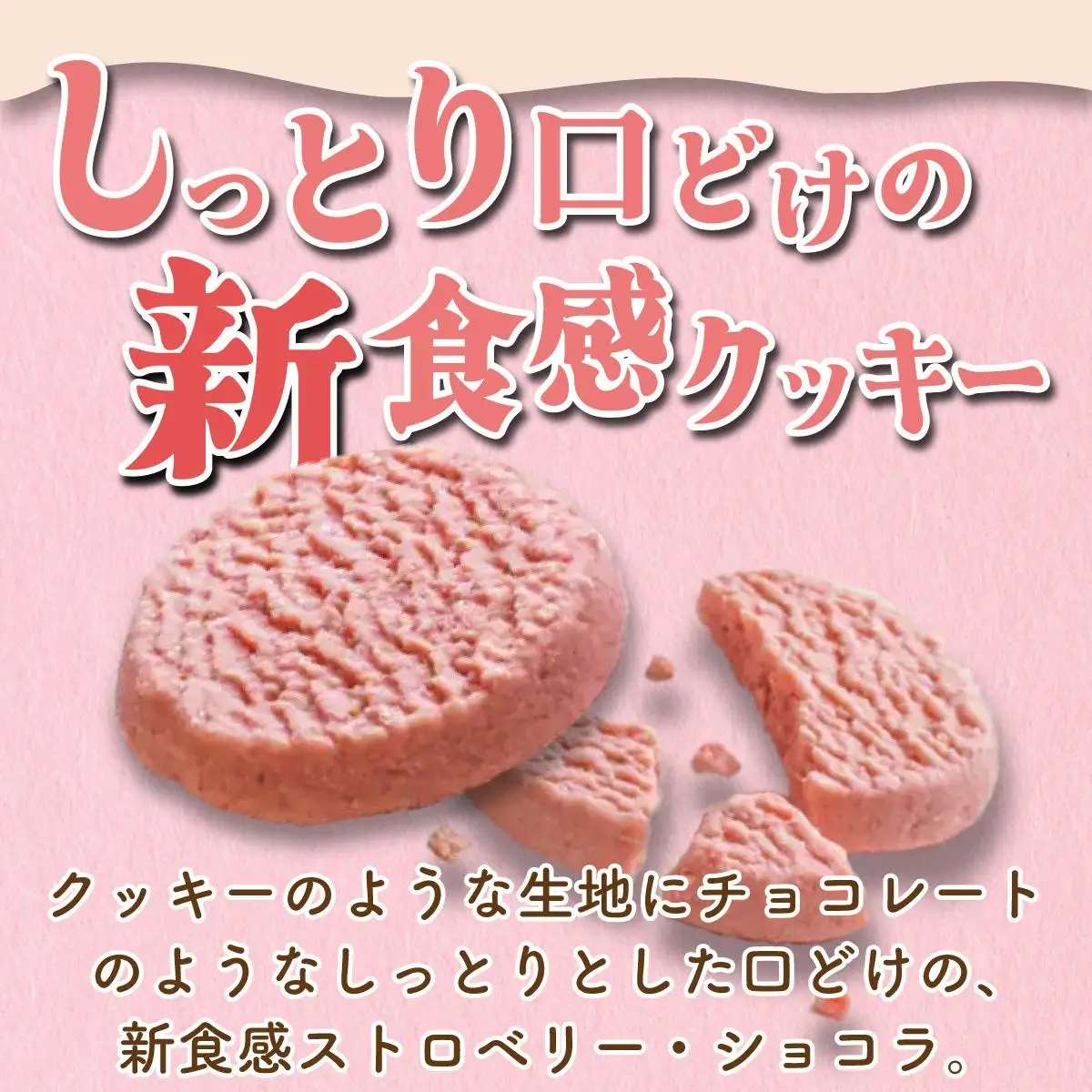 [5525-1073]北海道産 ストロベリー ミルク プリン 5個 ショコラ クッキー 10個 セット 詰合せ 森のおくりもの いちご イチゴ 苺 ストロベリー 牛乳 すずあかね クッキー お菓子 おやつ スイーツ デザート 規格外 常温 送料無料