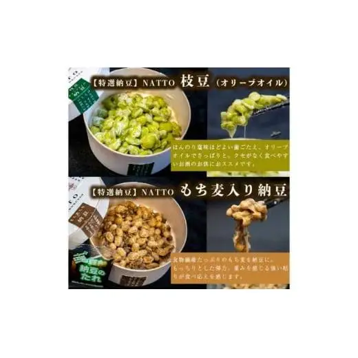 納豆 NATTO 高級国産納豆6種食べ比べセット 6個入り なっとう 丹波産 黒みつ パンダ豆 もち麦 枝豆 ピスタチオ 有機大豆