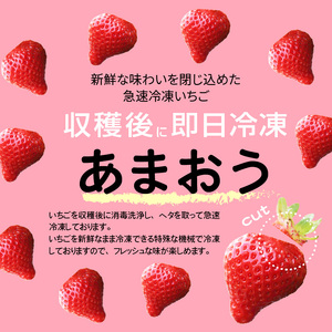 【福岡県産】 急速冷凍いちご あまおう（1kg） _R00106