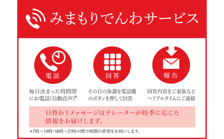 郵便局のみまもりサービス「みまもりでんわサービス（固定電話）」（6か月）TKY-05