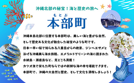 HISふるさと納税クーポン（沖縄県本部町）6千円分 観光