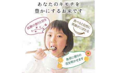 【3回定期】特別栽培米 コシヒカリ ヒロシノキモチ 精米 10kg 総計30kg ブランド米 銘柄米 国産 米 お米 日本米 ギフト 贈り物 備蓄 防災 食品 陽咲玲 はるざれ F6T-927