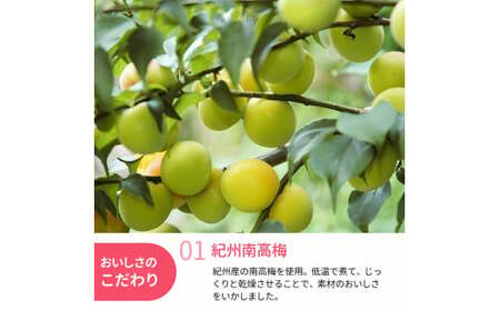 和歌山県産 ドライフルーツ  紀州南高梅  20g×5袋 / 南高梅 梅 うめ ウメ おやつ 小腹 お菓子 健康【kng022-1】