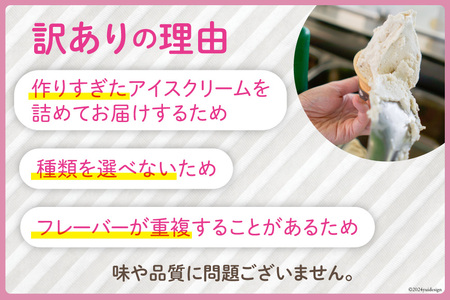 アイス 訳あり 12個 セット 詰め合わせ [ナチューラ 徳島県 北島町 29am0010]