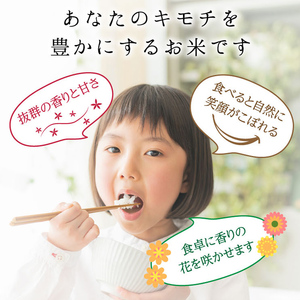 【3回定期】特別栽培米 コシヒカリ ヒロシノキモチ 無洗米 10kg 総計30kg 陽咲玲 米 お米 コメ 無洗米 ご飯 ごはん 富山県産 富山県 立山町 F6T-933