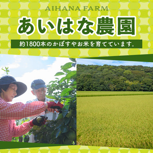 ＜令和7年産＞ひのひかり 玄米 (計10kg・5kg×2P) お米 ごはん ご飯【107101403】【あいはな農園】