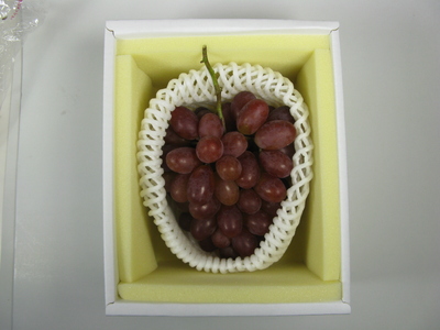 環-14【先行予約】岡山県産　冬ぶどう「紫苑」　1房（約700g）
