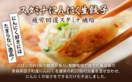 餃子 スタミナにんにく生餃子 30個