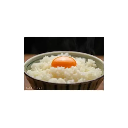 匝瑳の“さくら色”たまご　Lサイズ　贈答用160個 ／ 卵 タマゴ 玉子 たまご さくら色たまご 新鮮 千葉県 匝瑳市 送料無料 160個