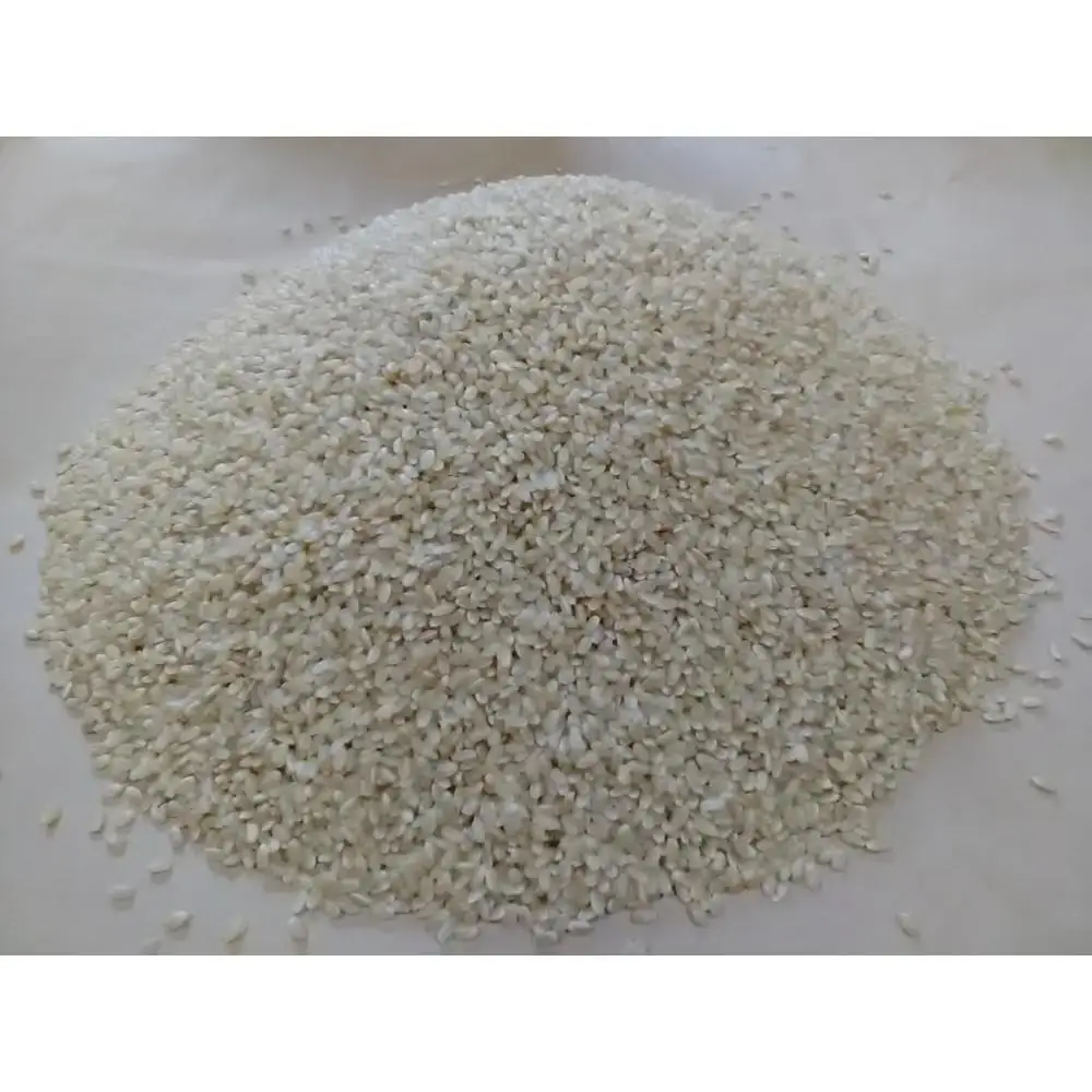 【令和7年度産】高島農場の農薬不使用コシヒカリ玄米30kg