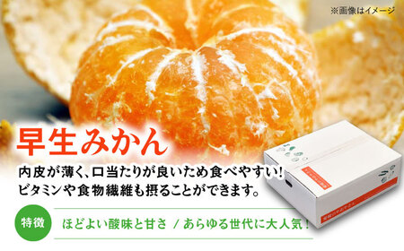 みかん 5kg （早生）【贈答】 温州みかん [AGAR008]