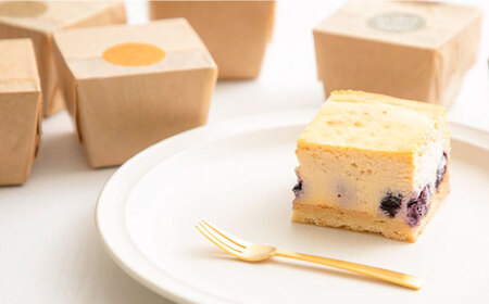 【種類豊富な詰め合わせスイーツ】チーズケーキ 6種 9個セット / ベイクドチーズケーキ スイーツ ちーずけーき おしゃれ お菓子 贈り物 おやつ ギフト お取り寄せ 人気 誕生日 個包装 / 南島原市 / Hand Made Cake WISSH [SCF002]