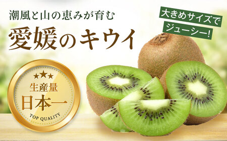 キウイフルーツ 約2.4kg（16個）[AGDC003]