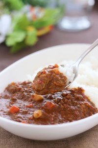 飛騨牛と飛騨豚を使った極旨キーマカレー  20食[E0044pic]