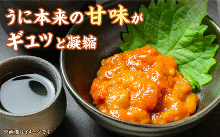 一汐うに 60g [JAQ013] うに